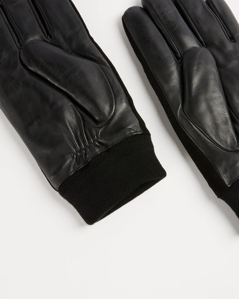 <P Class="Description"><Span Style="Text-Decoration: Underline;">Gloves</Span></P>
<P Class="Description">The Gloves Are O...